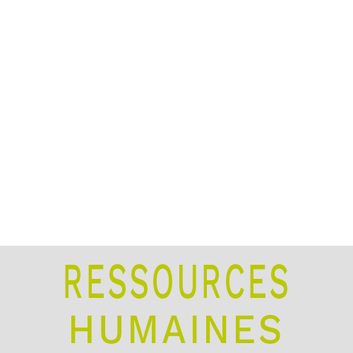 formation ressources humaines